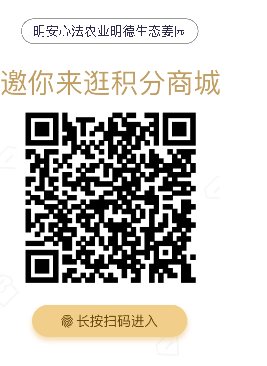 姜园乡土夏日忙 只为金秋好丰收！(●'◡'●)5月春耕春播 2023年七不姜预售预定