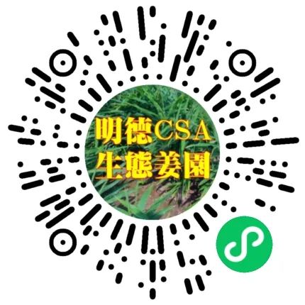 姜/薑：果珍李柰 菜重芥薑。许慎《说文》，《齐民要术》“种姜”