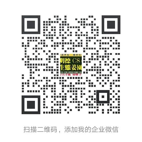 生姜养生网改版mdcsa.cn公测 原始点视频号开通