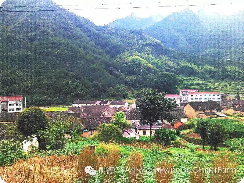 2015浙江仙居首期《明德惟馨 安生乐业乡村传统文化原始点公益论坛及推广活动》 2015浙江仙居首期《明德惟馨 安生乐业乡村传统文化原始点公益论坛及推广活动》