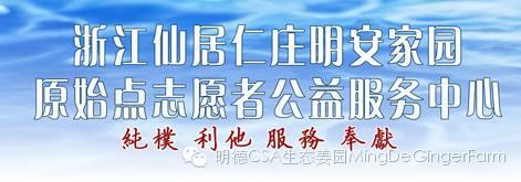 2015浙江仙居首期《明德惟馨 安生乐业乡村传统文化原始点公益论坛及推广活动》 2015浙江仙居首期《明德惟馨 安生乐业乡村传统文化原始点公益论坛及推广活动》