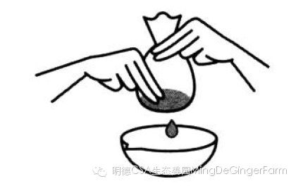 生姜养生法(7)石原式 “生姜红茶”-自然医学养生