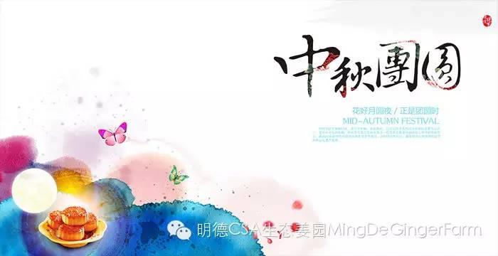 生姜养生法(7)石原式 “生姜红茶”-自然医学养生
