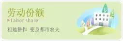 2015年CSA会员“七不”生态小黄姜预售订购。仅五十亩