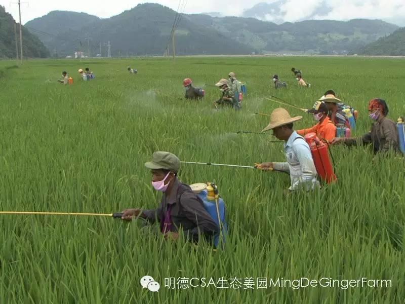 农药、化肥、激素给人类的环境带来巨大的危害！