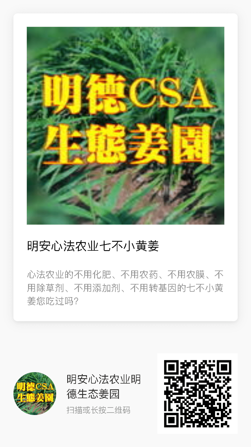 道家养生秘笈：关于生姜不得不说的偏方