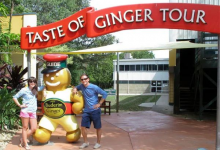 澳大利亞“生姜”農業主題樂園,變全球超強農旅品牌的“商業機密”-有點兒甜的生姜樂園——澳大利亞姜工廠樂園-七不姜 生姜養生網-明德CSA生態姜園&明安農業