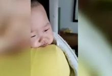 幼儿高热近42℃,麻疹案例-七不姜 生姜养生网-明德CSA生态姜园&明安农业