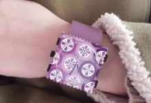 七不姜3月三八節&315感恩回饋! 三個優惠 ! 再送世界名品歐洲郵票表時尚時裝表STAMPS CASIO表 派克筆 777-七不姜 生姜養生網-明德CSA生態姜園&明安農業