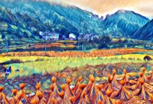 *╭?( ˙o˙)╯?*七不水稻秋收 明安農業田園!我們是不是該知足 珍惜一切 就算沒有擁有....-七不姜 生姜養生網-明德CSA生態姜園&明安農業