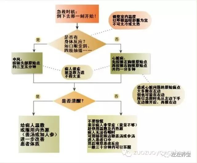 最好的急救方法赶紧学起来吧